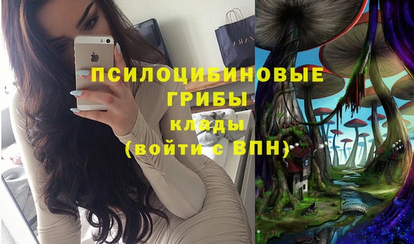 таблы Козловка